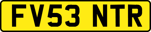 FV53NTR