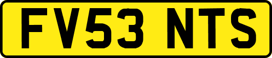 FV53NTS