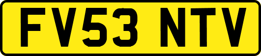 FV53NTV