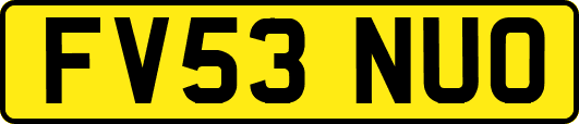 FV53NUO