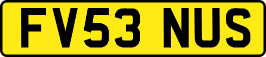 FV53NUS