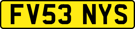 FV53NYS