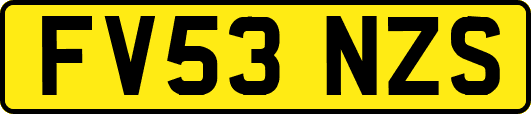 FV53NZS