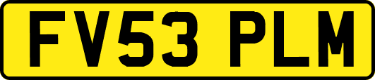 FV53PLM