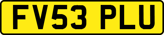 FV53PLU