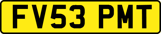 FV53PMT