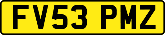 FV53PMZ