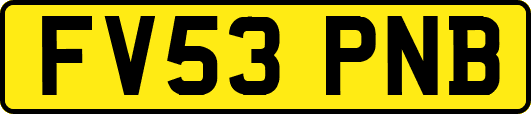 FV53PNB