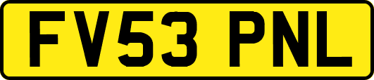 FV53PNL