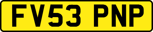 FV53PNP