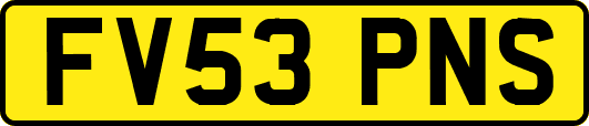FV53PNS