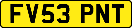 FV53PNT