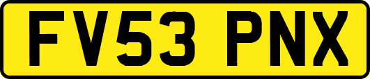 FV53PNX