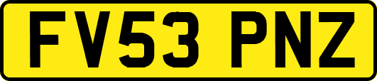 FV53PNZ