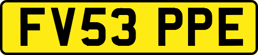 FV53PPE