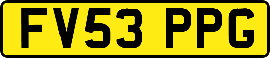 FV53PPG