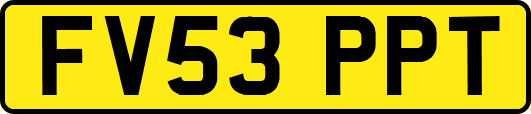 FV53PPT