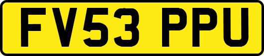FV53PPU