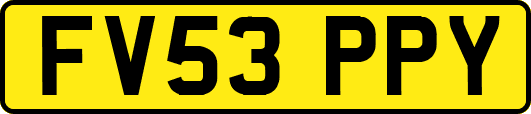 FV53PPY