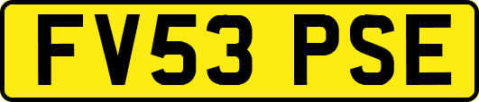 FV53PSE