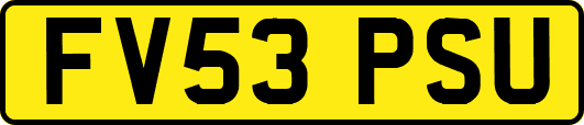 FV53PSU