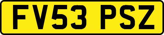 FV53PSZ