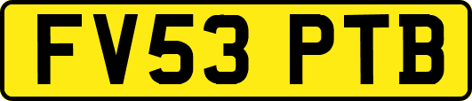 FV53PTB