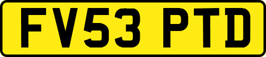 FV53PTD