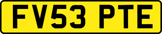 FV53PTE