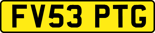 FV53PTG