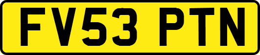FV53PTN