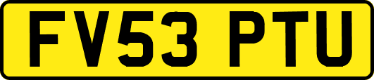 FV53PTU