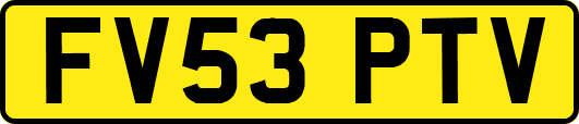 FV53PTV