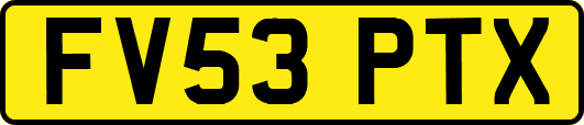 FV53PTX