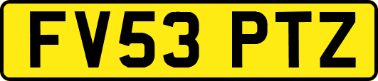 FV53PTZ