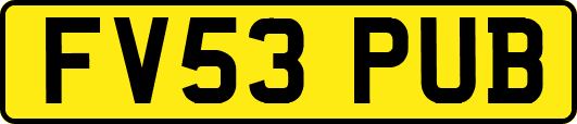 FV53PUB