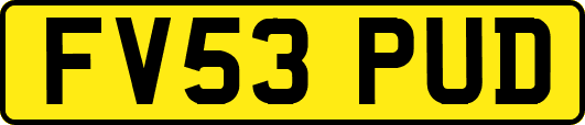 FV53PUD