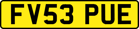 FV53PUE