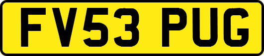 FV53PUG