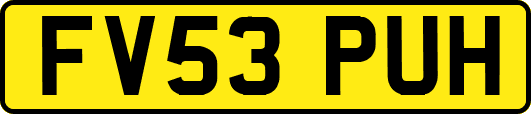 FV53PUH