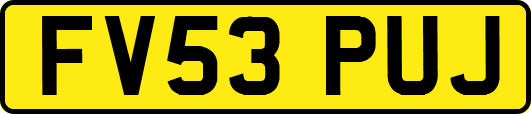 FV53PUJ
