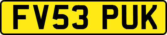 FV53PUK