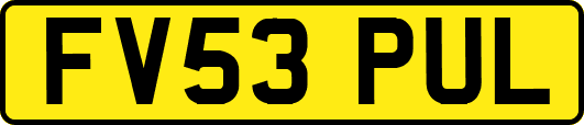 FV53PUL