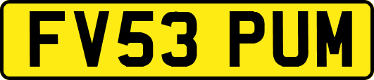 FV53PUM