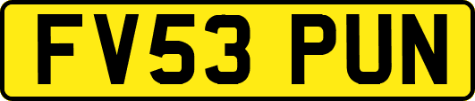 FV53PUN