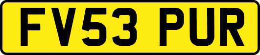 FV53PUR