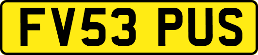 FV53PUS