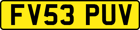 FV53PUV