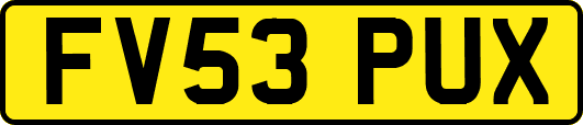 FV53PUX