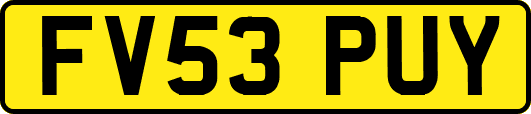 FV53PUY